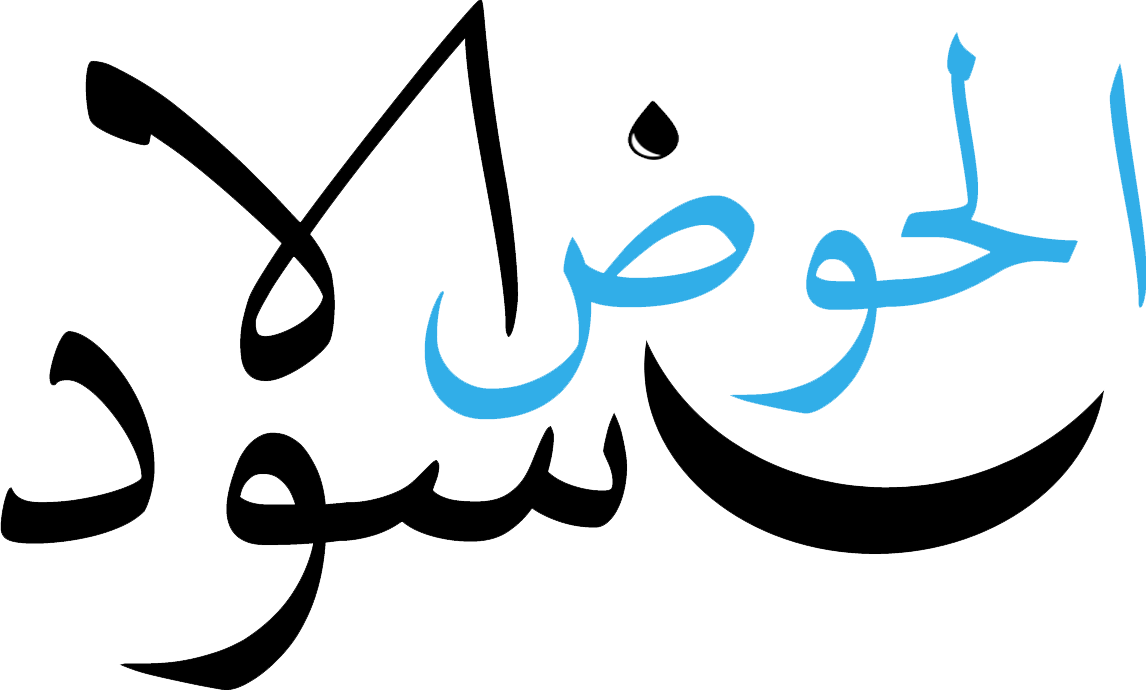 Blackpool Logo